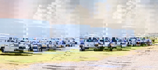 Pest Control - General Pest Control