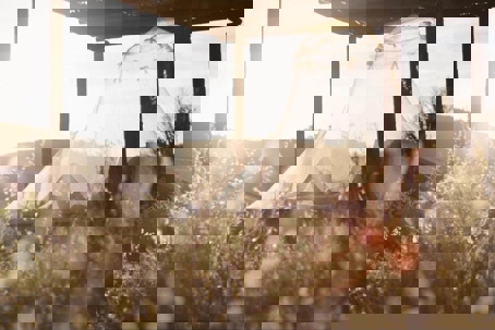 How To Keep Mosquitoes at Bay - General Pest Control